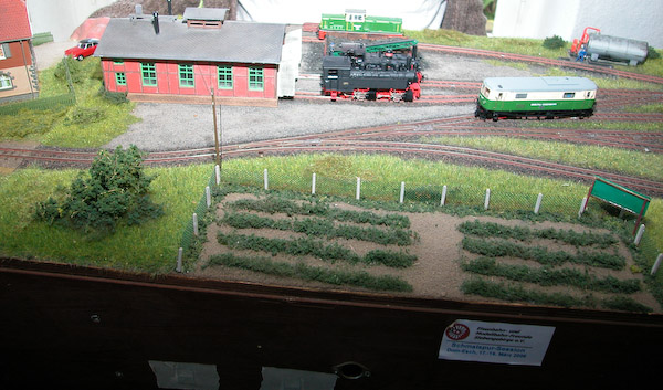 Die Modellbahnanlage der Eisenbahn- und Modellbahnfreunde Siebengebirge e.V. Foto: Christof Weschenbach.