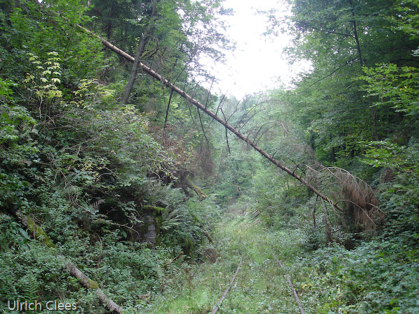 So sah der Einschnitt noch im September 2008 aus.